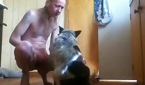 vídeos de bestialidade,bestialidade pornô